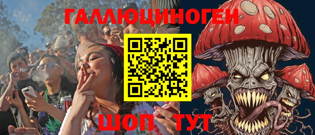 Ростов Великий  Псилоцибиновые грибы MAGIC MUSHROOMS  Вход с VPN 