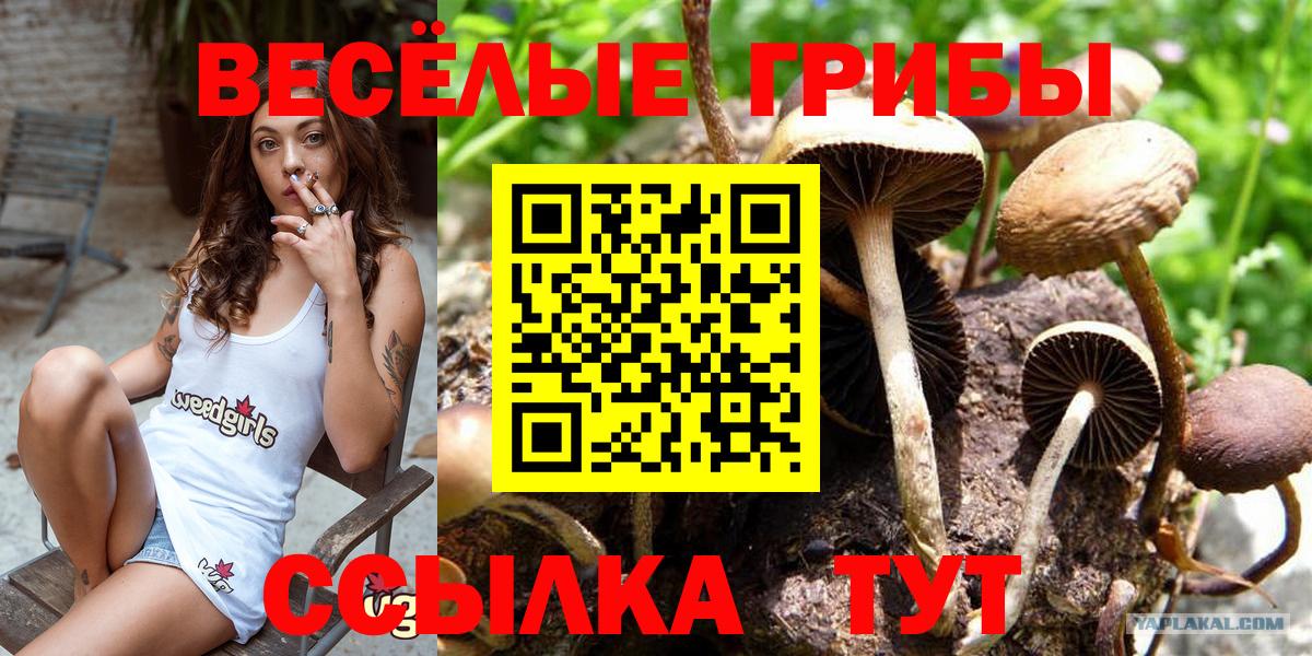Галлюциногенные грибы GOLDEN TEACHER Ростов Великий